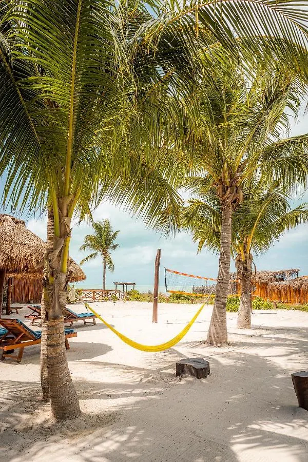 Casa Luz Beach Front Holbox 0*, Isola Holbox Messico